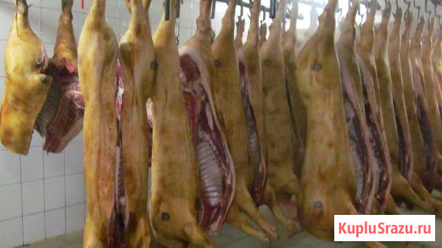 Мясо свинины в тушахи полутушах Товарково - изображение 1