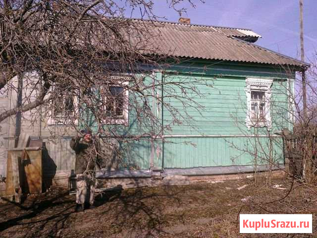 Дом 49 кв.м. на участке 42 сот. Курлово - изображение 1