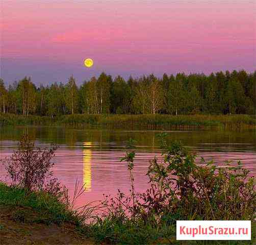  Центральный