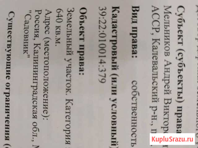  Янтарный - изображение 1