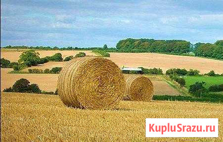  Сухиничи - изображение 1