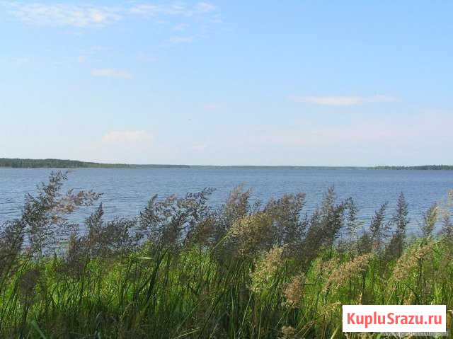  Красномайский - изображение 1