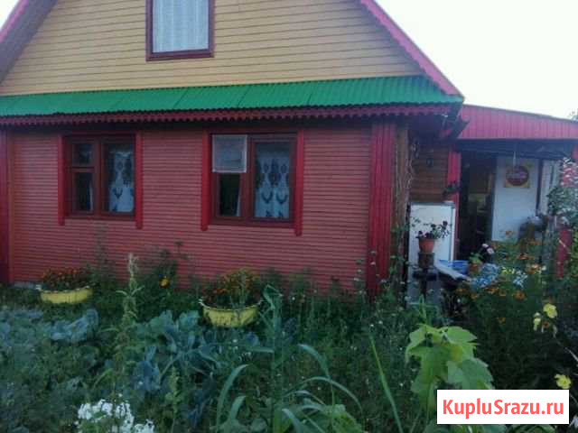 Дача 35 кв.м. на участке 12 сот. Кашин - изображение 1