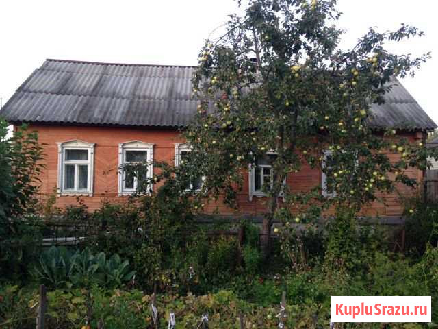  Скопин - изображение 1