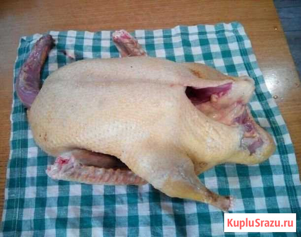 Мясо индоутки Россошь - изображение 1
