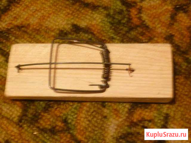 Ловушка мышей Горно-Алтайск - изображение 1