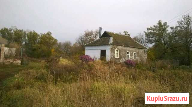 Дом 39 кв.м. на участке 30 сот. Кромы - изображение 1