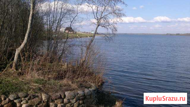  Демянск - изображение 1