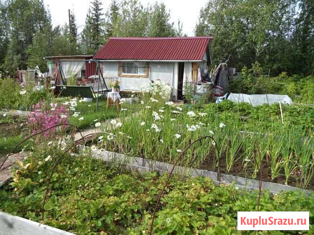 Дача 20 кв.м. на участке 6 сот. Оленегорск - изображение 1