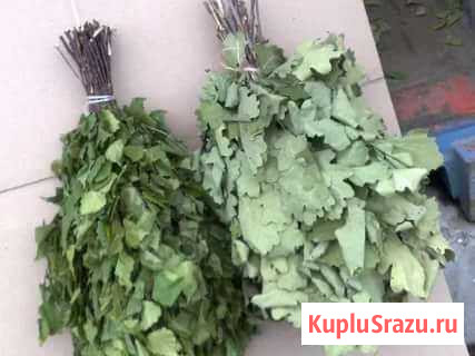 Веники дубовые Красногорский - изображение 1