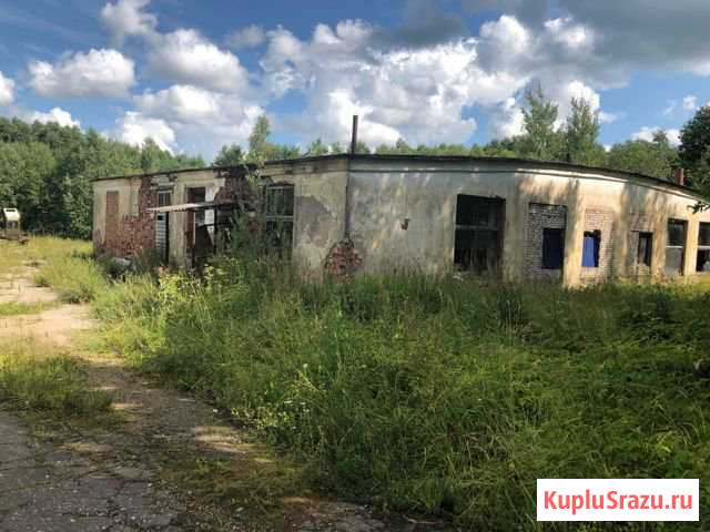 Помещение свободного назначения, 403 кв.м. Сольцы - изображение 1