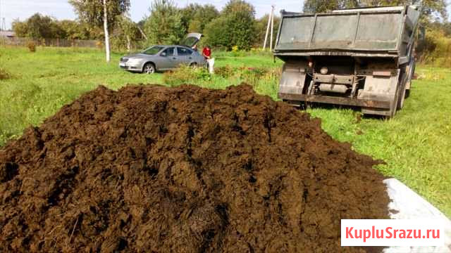 Навоз Коровий Псков - изображение 1