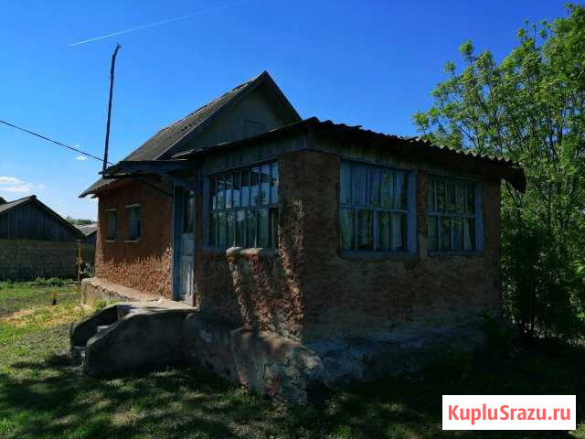 Дом 30 кв.м. на участке 15 сот. Куркино - изображение 1