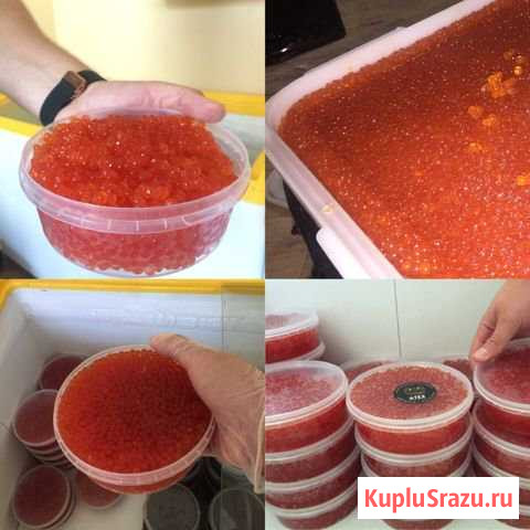 Красная Икра : Горбуша,Кета,Кижуч Владивосток - изображение 1