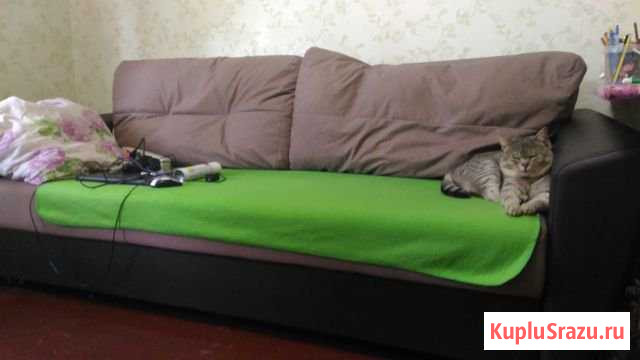 Диван Бердск - изображение 1