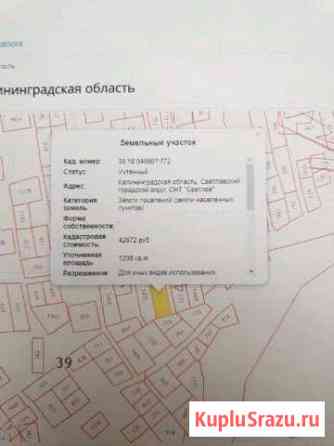  Светлый