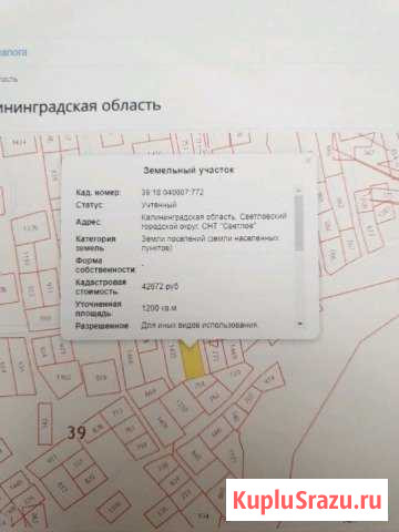  Светлый - изображение 1