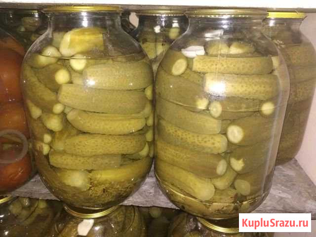 Огурчики соленые Бор - изображение 1