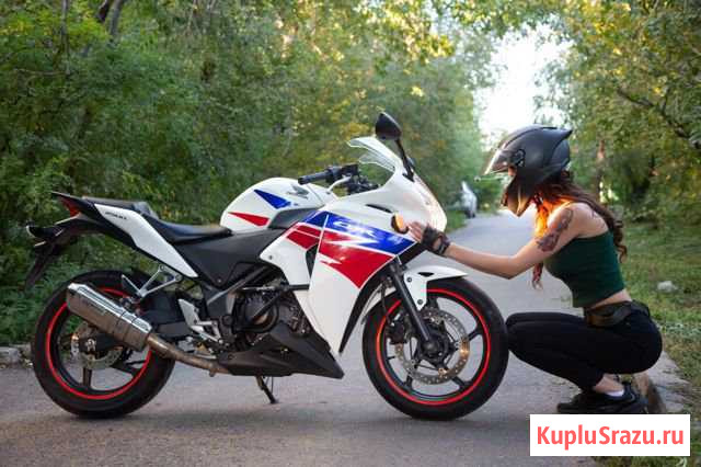 Honda CBR 250R 2013 Чита - изображение 1