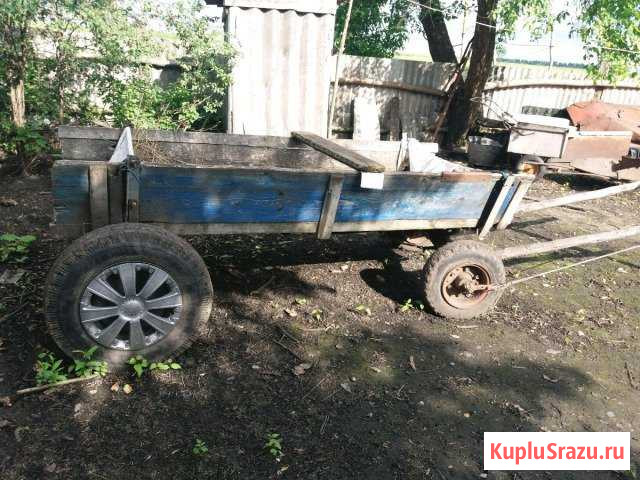 Телега конная на резиновом ходу и сани Фатеж - изображение 1