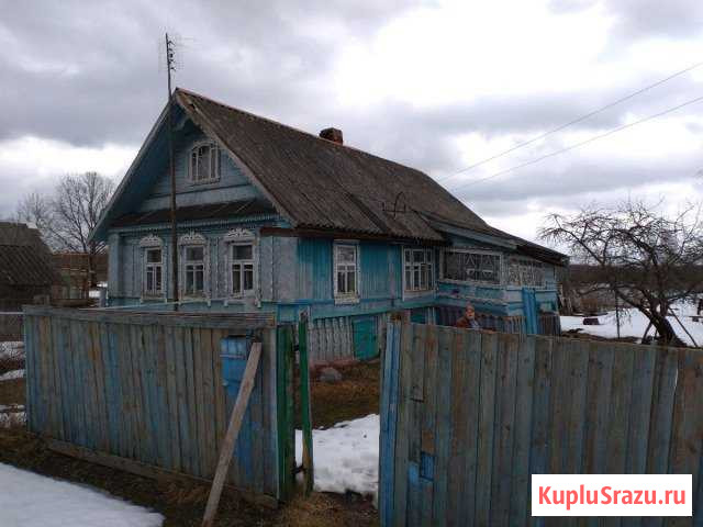 Дом 36 кв.м. на участке 28 сот. Сольцы - изображение 1