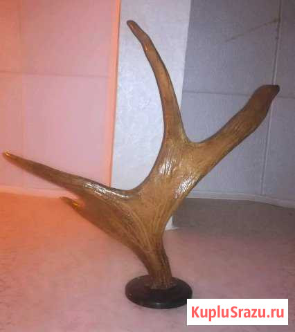 Рога вешалка Обнинск - изображение 1