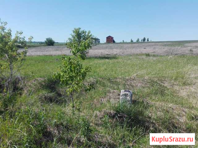  Кочкурово - изображение 1