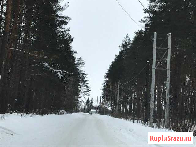  Сатинка - изображение 1
