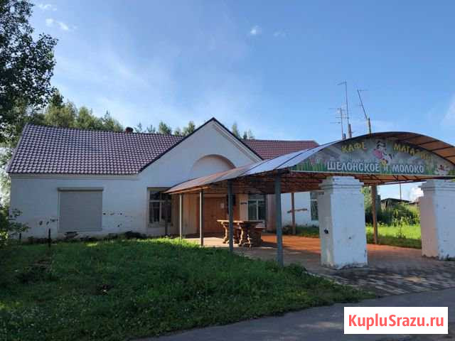 Торговое помещение, 168 кв.м. Сольцы - изображение 1