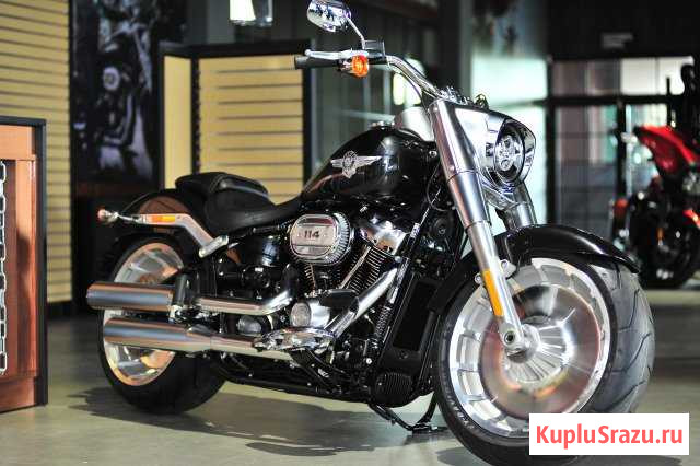 Fat Boy Harley-Davidson flfbs 2019 Нижний Новгород - изображение 1