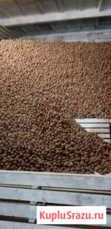 Картофель опт, розница в Санкт-Петербурге Санкт-Петербург