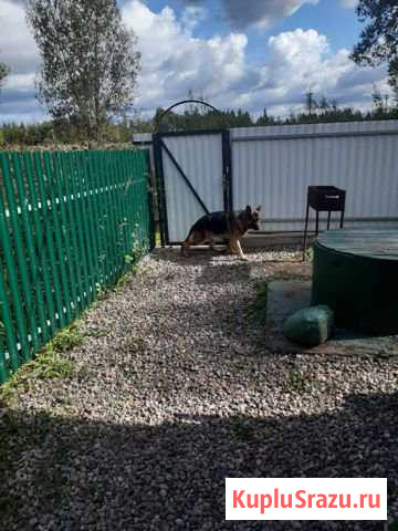 Вязка Великие Луки - изображение 1