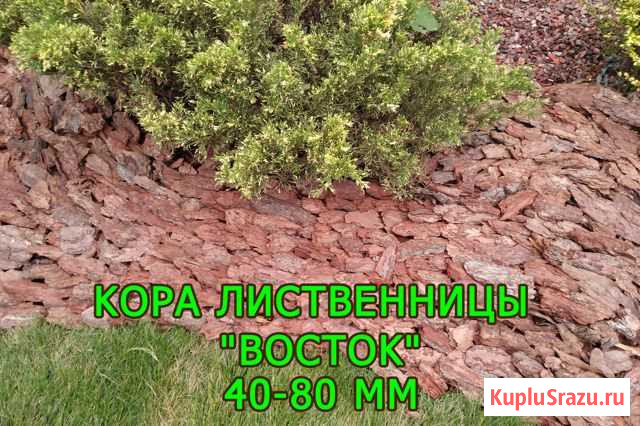 Кора, мульча Лиственница: Восток фракция 40-80мм Белгород - изображение 1