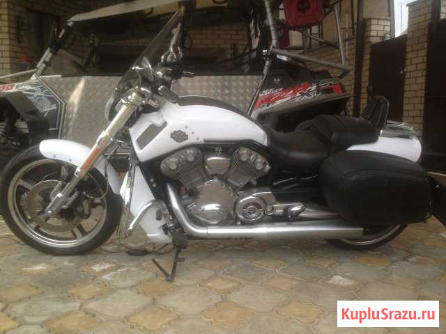 Harley-Davidson V-Rod Muscle Кисловодск - изображение 1