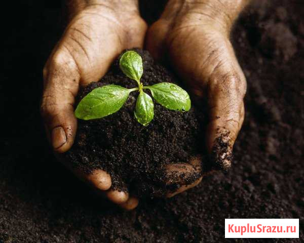 Навоз,грунт,перегной,торф и тп Бронницы - изображение 1