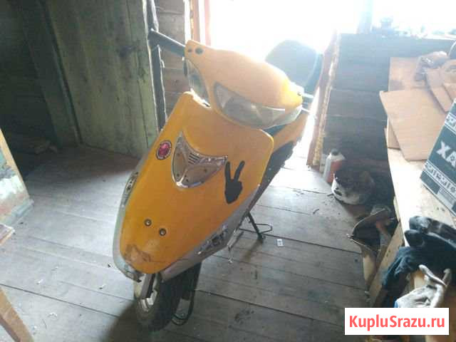 Racer Бийск - изображение 1