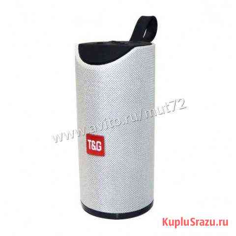 Колонка блютуз портативная T&G 113 Тюмень