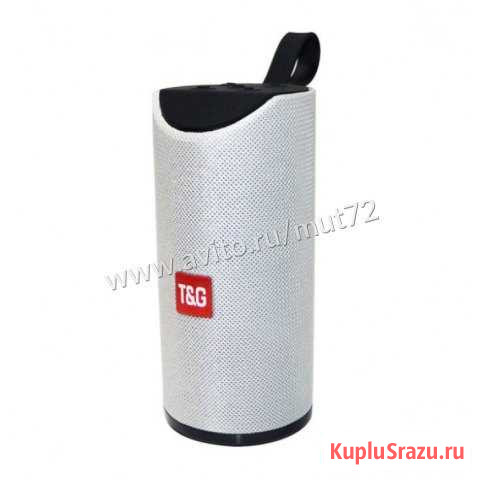 Колонка блютуз портативная T&G 113 Тюмень - изображение 1