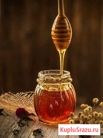 Мёд с личной пасеки Усть-Лабинск - изображение 1