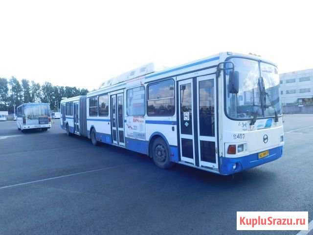 Лиаз 62127 гармошка 2007 Санкт-Петербург - изображение 1