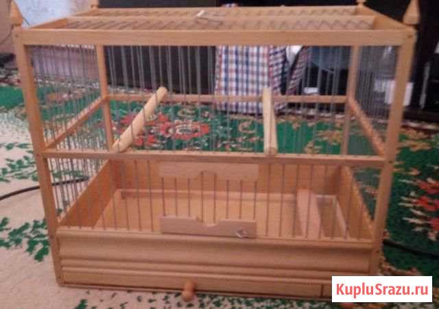 Клетка Кисловодск - изображение 1