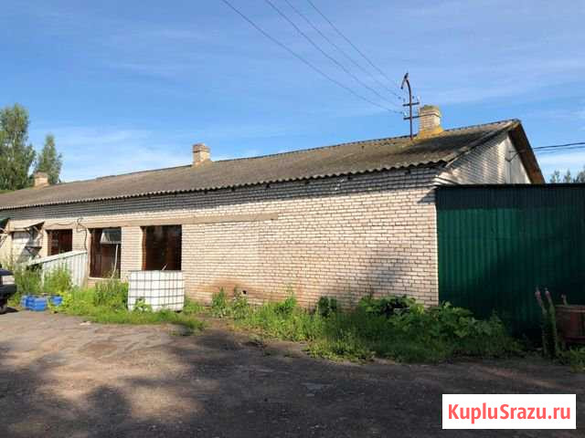 Действующий цех по переработке молока 315 кв.м. Сольцы - изображение 1