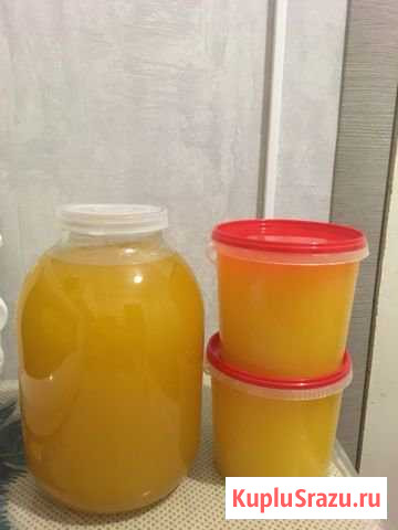 Продажа меда Мытищи - изображение 1