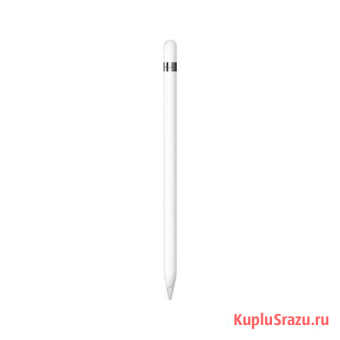 Apple Pencil Петропавловск-Камчатский - изображение 1