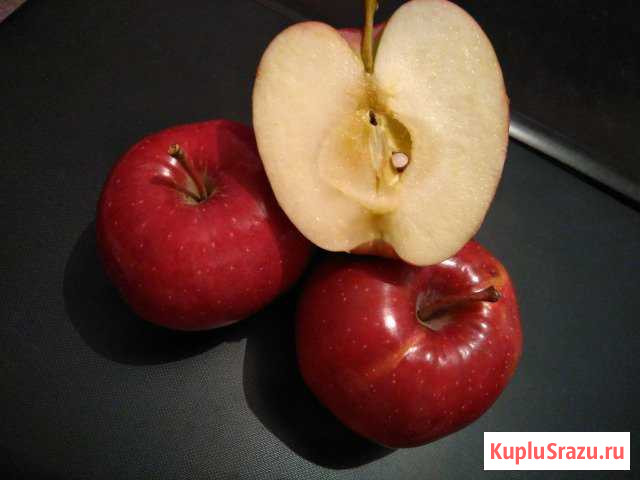 Яблоки (Флорина) Пятигорск - изображение 1