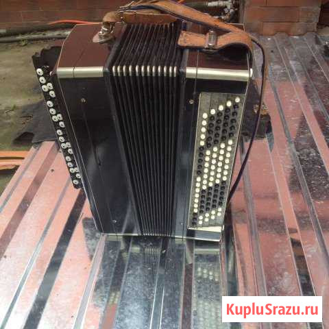 Баян Калининград - изображение 1