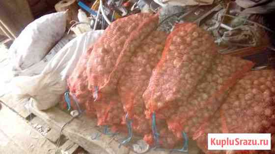 Продам мелкий картофель около 60 ведер Братск