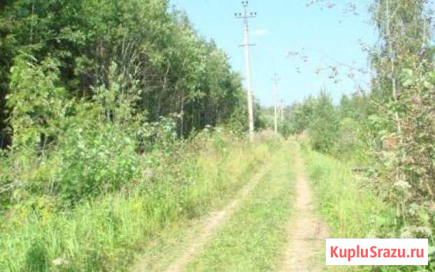  Вырица - изображение 1