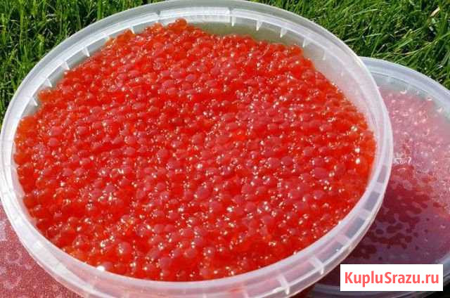 Икра горбуши наивкуснейшая Уссурийск - изображение 1