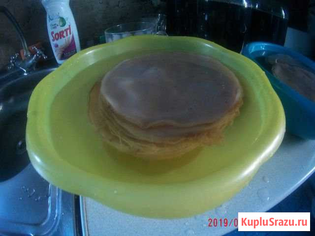 Чайный гриб Кропоткин - изображение 1